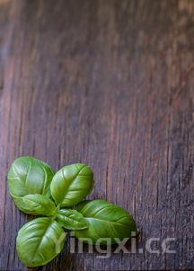 腌韭菜花的做法与配料,腌韭菜花的做法大全集