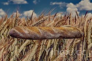 冬瓜减肥法成功案例,冬瓜减肥法3天瘦20斤