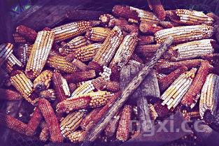 糯米粽子的制作方法，糯米粽怎么做