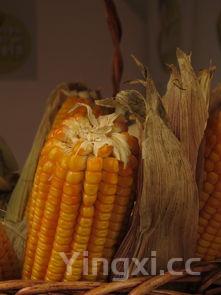 面疙瘩汤养胃吗,面疙瘩汤治好胃病