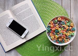 缸炉烧饼新式炉子自制,缸炉烧饼新式炉子