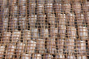 月饼的具体做法,月饼的做法家常