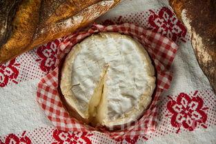 海参补什么的功效阴还是阳,海参主要补什么