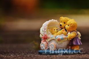 抽真空的粽子拆开煮多久就能熟，抽真空的粽子是熟的还是生的