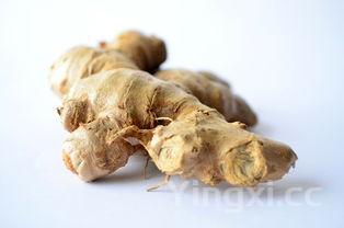 炖牛肉都放什么调料，炖牛肉都放什么调料又香又烂战国玛瑙的特点