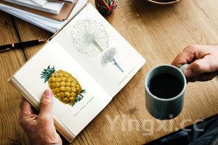 端午节手抄报怎么画英语,端午节手抄报怎么画