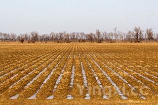 养生煲汤药膳大全,养生煲汤药膳大全图片