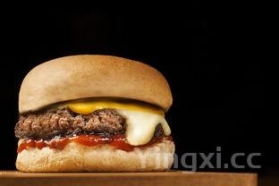 汉堡制作的方法，汉堡制作方法步骤