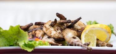 虾扯蛋的表情图,虾扯蛋大全表情包