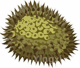 家庭自制蛋挞液的做法视频教程,自制蛋挞液的做法与配方