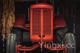 米线的吃法做法大全,麻辣米线的做法