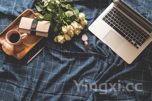 家庭煮五香牛肉的正确方法,家庭煮五香牛肉的正确方法窍门