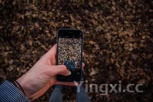 蒸鸡的正宗做法,药材蒸鸡的正宗做法