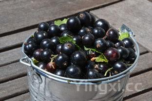 做辣椒油的配料，饭店里秘制辣椒油的配方