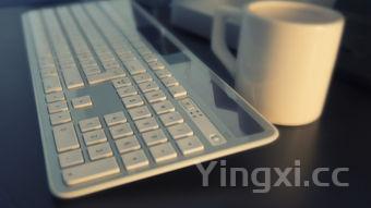 煎小黄花鱼怎么不粘锅不掉皮,家常煎小黄花鱼的做法