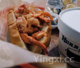 澳洲大龙虾图片大龙虾怎么做有几种做法