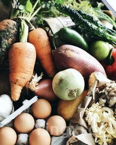 河蟹吃什么食物，河蟹吃什么食物?