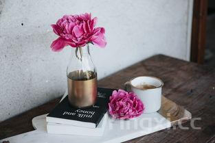 奶昔的制作方法教程视频，奶昔的制作方法教程