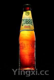 青椒炒豆腐的做法视频,青椒炒豆腐的做法