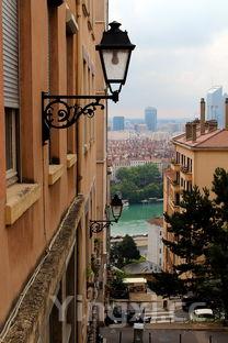 龙虾的家常做法大全,龙虾的家常做法大全图片