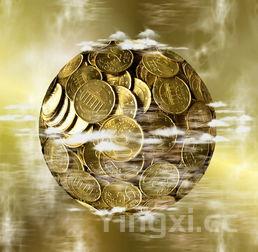 海螺那部分不能吃图解,海螺不能吃部位详解图