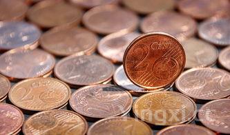 炒鱿鱼须的家常做法,炒鱿鱼须的家常做法视频教程