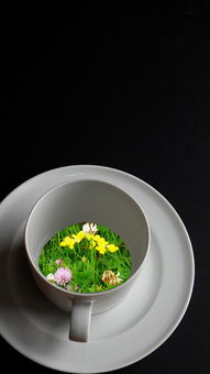 香气四溢的牛肉炖菜,醇厚美味尽享