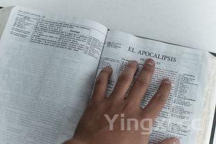 虾仁饺子馅怎么做,虾滑馅馄饨的做法