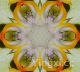 肉粽子的制作方法步骤，肉粽子的做法和配料视频教程窍门