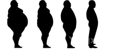 蓝瘦香菇下一句怎么说，蓝瘦香菇啥意思