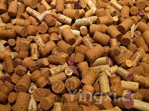 自制桑葚酒不放酒的做法大全,自制桑葚酒不放酒的做法