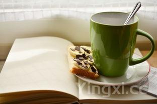 苏泊尔面包机做面包的方法,苏泊尔面包机面包巧手速成书