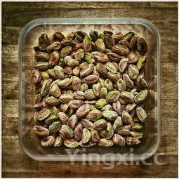 鲜鲍鱼怎么做好吃又简单,海参如何烹饪好吃又简单