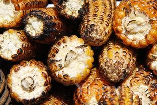 松仁玉米的家常做法下厨房,松仁玉米的家常做法窍门