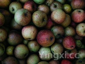 手工制作水果拼盘图片,手工制作水果拼盘