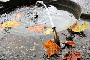 枧水是什么做成的,枧水是怎么做的