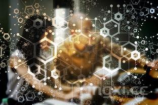 中国白酒数据怎么搜，快速获取精准信息的方法大揭秘