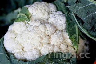 菜花的做法家常做法,菜花的8种家常做法