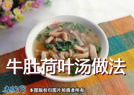 牛肚汤的做法怎样好喝,牛肚汤的做法怎样好喝又营养视频