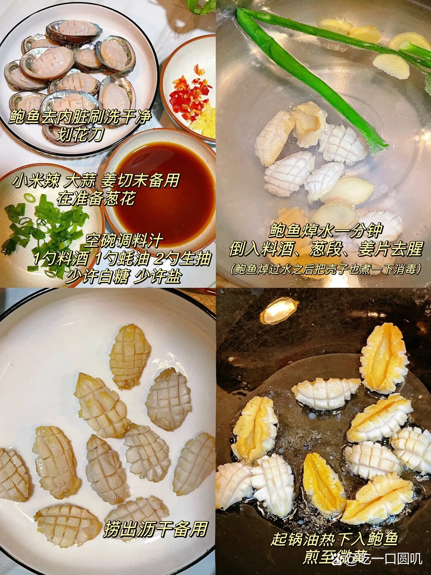 鲍鱼做法大全,鲍鱼做法大全家常做法